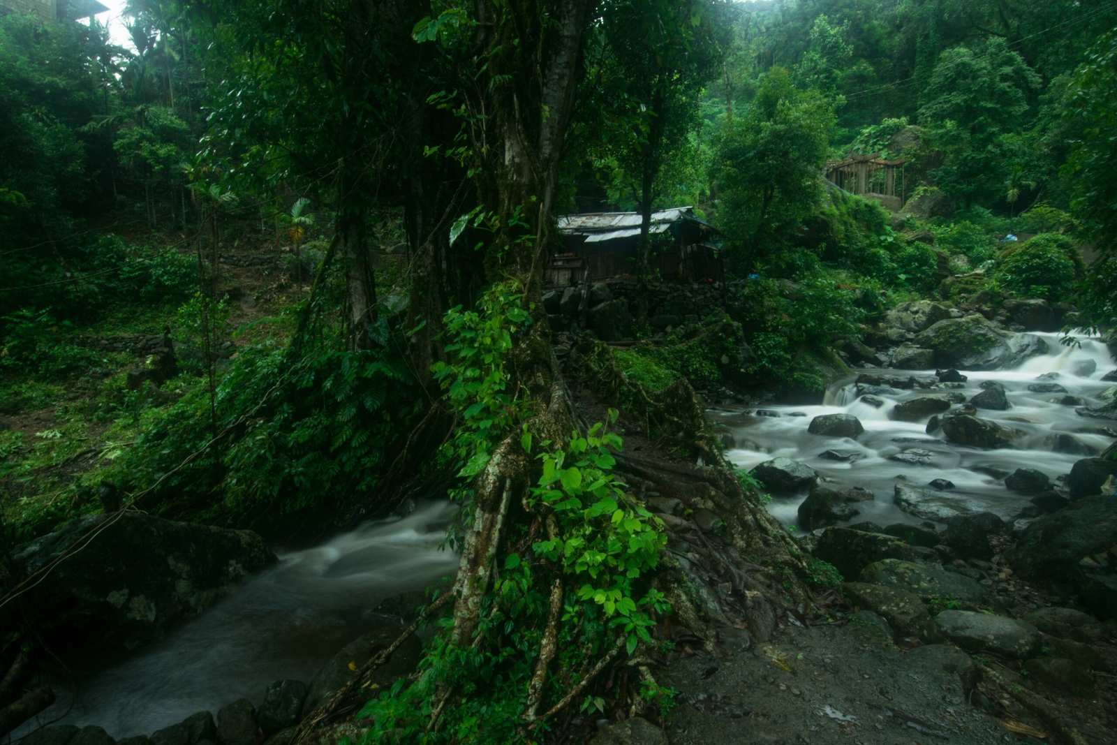 Amazing shot of a river surrounded by beautiful nature An amazing shot of a river surrounded by beautiful nature